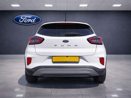 Ford Puma in Botswana