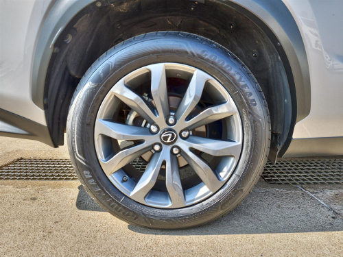 Lexus NX300 F-Sport in Botswana