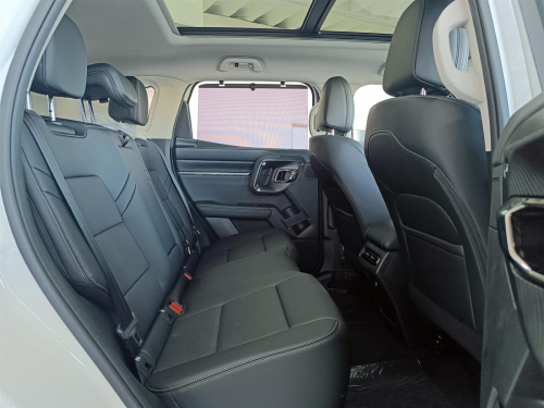 Haval H7 Super Luxury 4WD 9DCT in Botswana