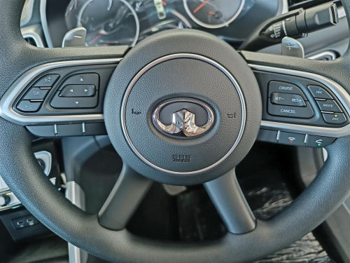 GWM P300 2.0T 8AT SX 4x4 in Botswana