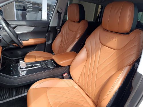 Chery Tiggo Pro8 Executive+ 1.6T TDGi in Botswana